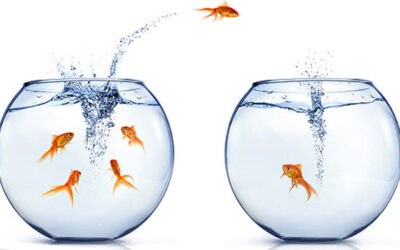What Drives B2B SaaS Churn? Thirdside’s Guide to Fixing It