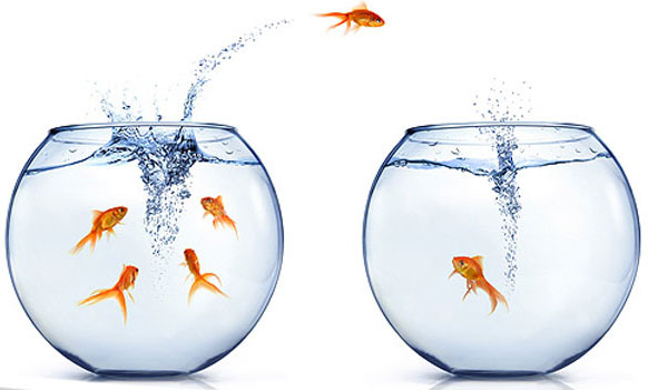 migration What Drives B2B SaaS Churn